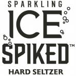 Sparkling Ice - Winter Warmer Spiked Seltzer (221)