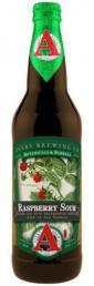 Avery Brewing Co - Raspberry Sour (500ml) (500ml)