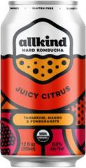 Allkind - Juicy Citrus Hard Kombucha (16.9oz bottle) (16.9oz bottle)