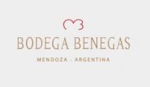 Bodega Benegas - Don Triburcio 2019 (750ml) (750ml)