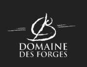 Domaine Des Forges - Anjou Cabernet Franc 2021 (750ml) (750ml)