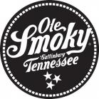 Ole Smoky - Cinnamon Moonshine (750)